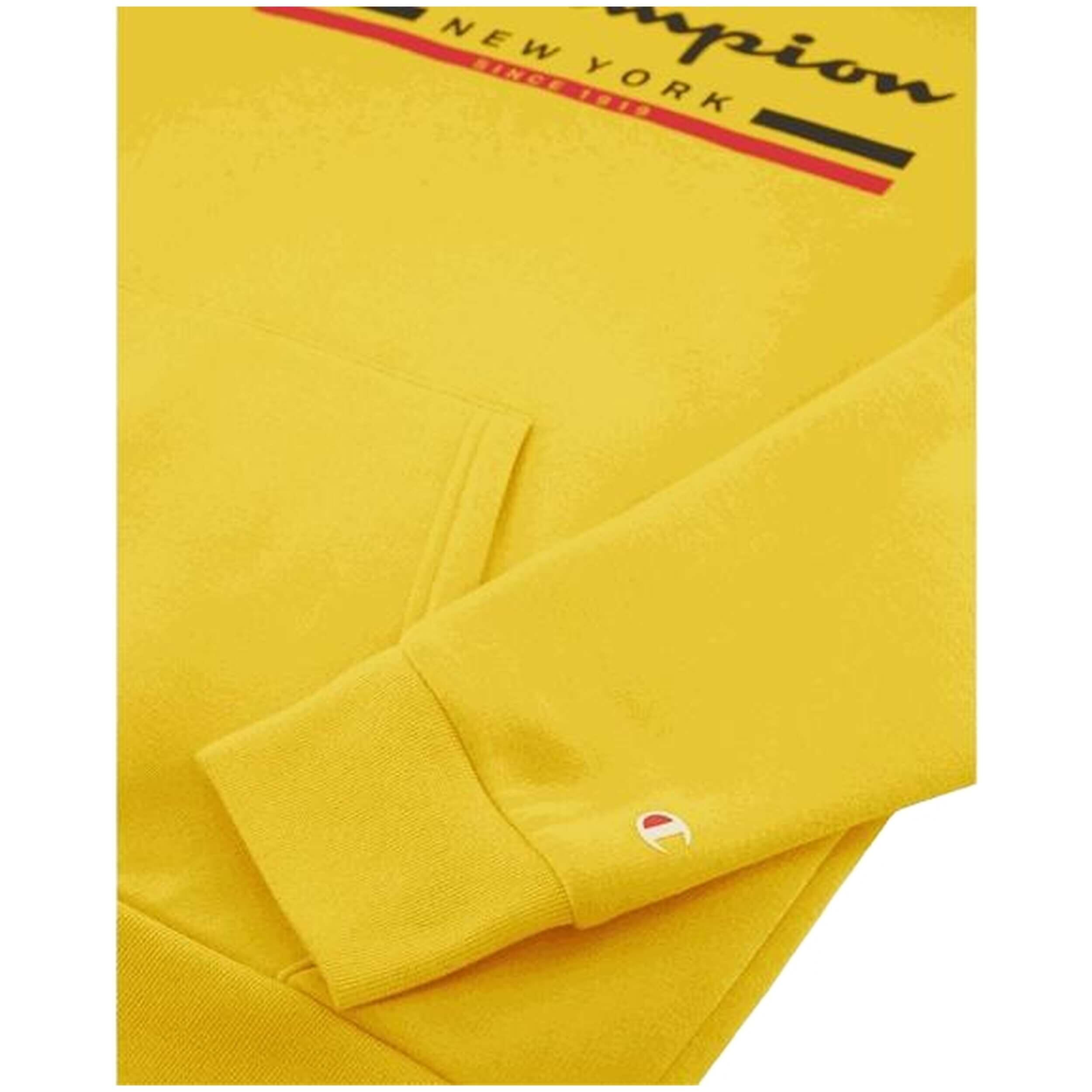Felpa con cappuccio Champion modello 220245-YS079 per uomini 4/5