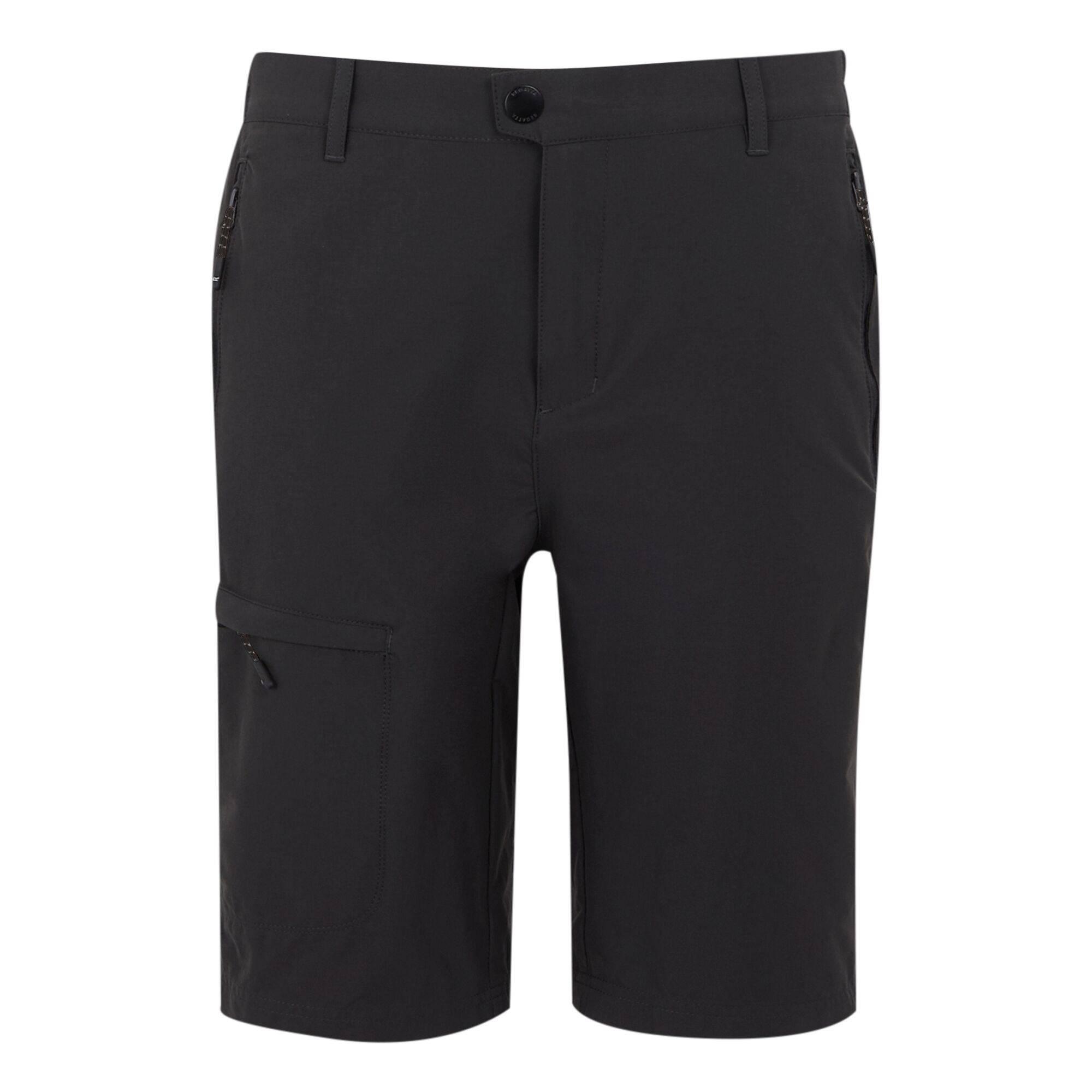 REGATTA Mens Highton II Long Length Walking Casual Shorts (Ash)