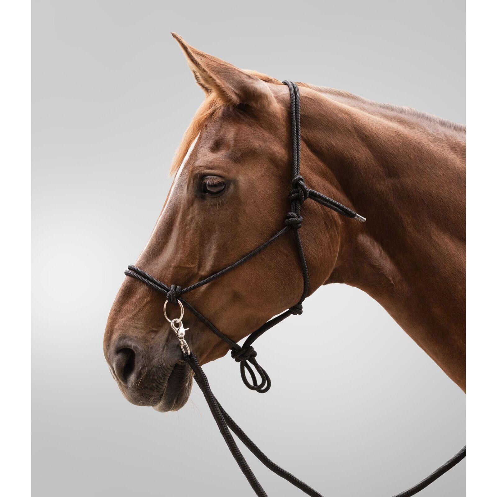 Waldhausen - Licol Pour Poney À Nœuds Avec Rênes Waldhausen - Licol - Noir - Ps - Decathlon