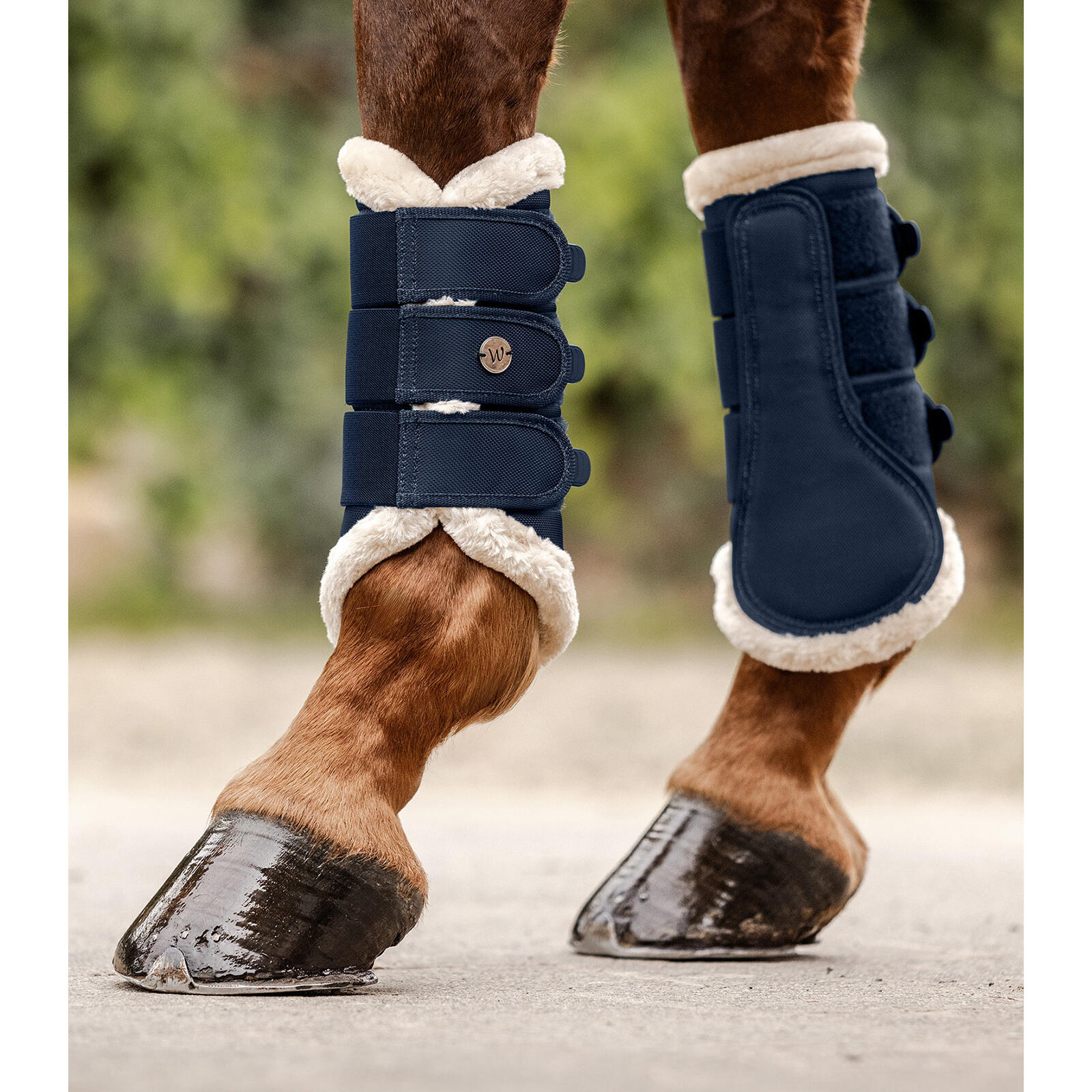 Dressage boots for horses Waldhausen Comfort 2/2