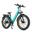 Bicicleta elétrica off-road ENGWE E26 ST 250W 48V16AH com suspensão dupla