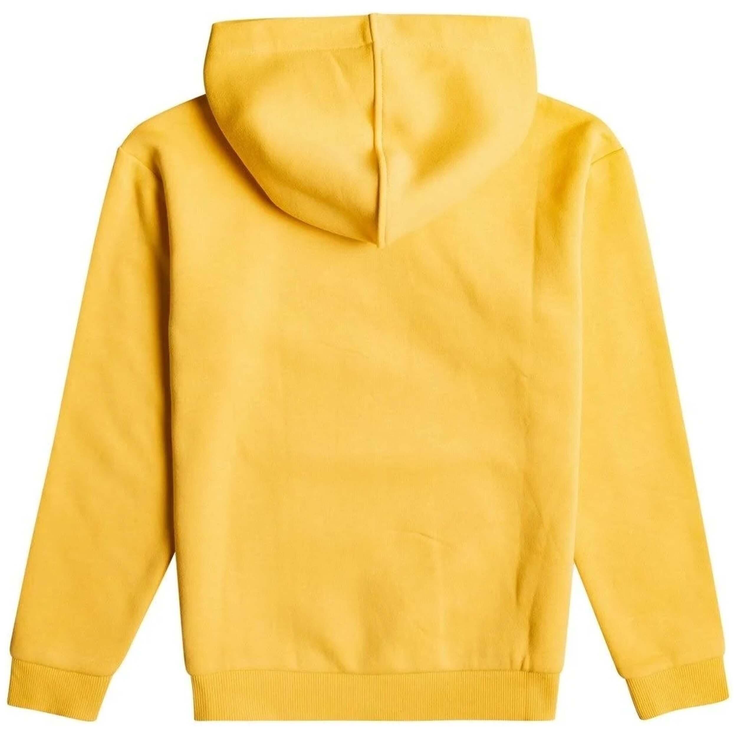 Sweat à capuche Roxy modèle ERGFT03759-YJC0 pour filles 2/2