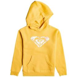 Sweat à capuche Roxy modèle ERGFT03759-YJC0 pour filles