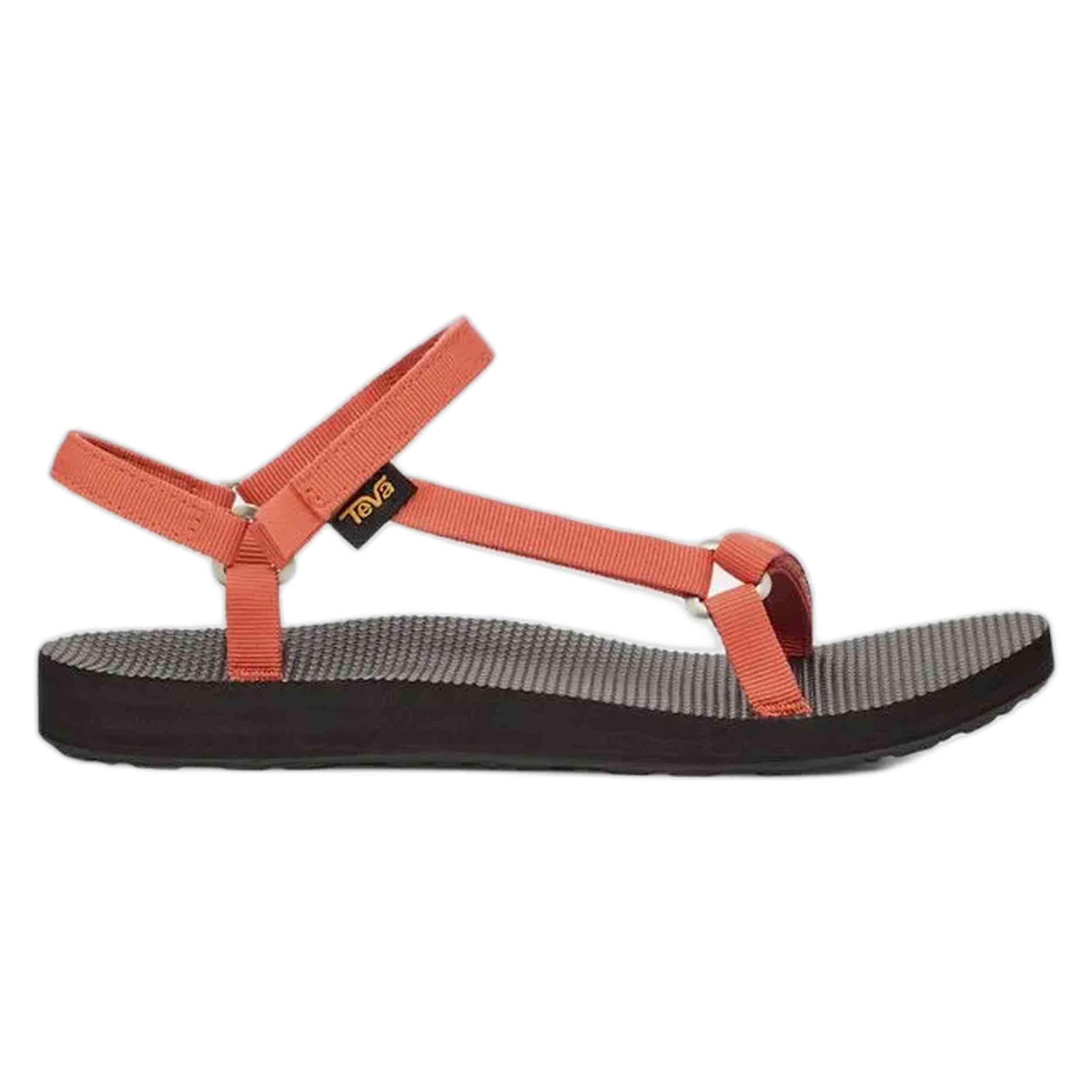 TEVA picture