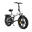 Bicicletă electrică pliabilă ENGWE Engine X 20 inch, baterie 48V 13Ah