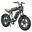 Bicicleta elétrica ENGWE M20 de 20 polegadas, bateria dupla de 48 V e 26 Ah