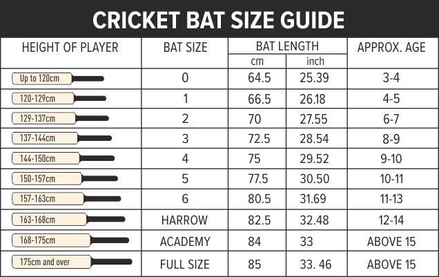 DSC Roar Blast Cricket bat Gr. 6 – Kashmirweide, Spielbereit 7/7