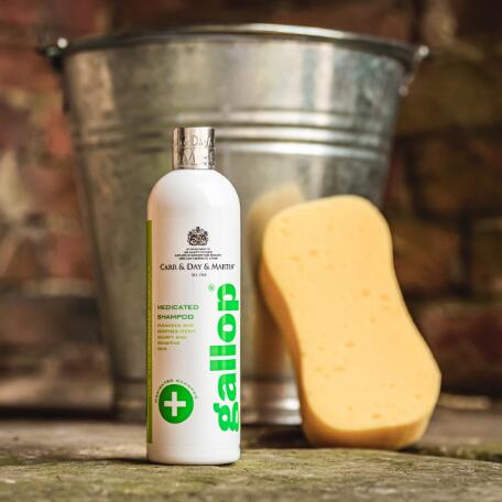 Carr & Day & Martin Shampooing médicamenteux Gallop - 500 ml 3/3