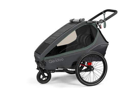 Qeridoo Fahrradanhänger Kidgoo 2 Ivy Green