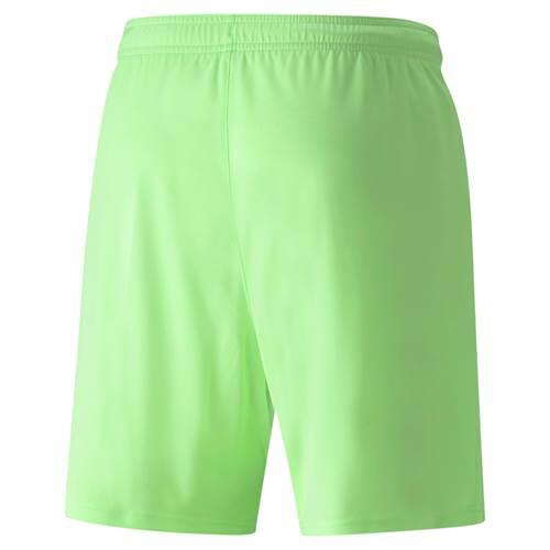Puma Herren Shorts teamLIGA Shorts 704924 2/3