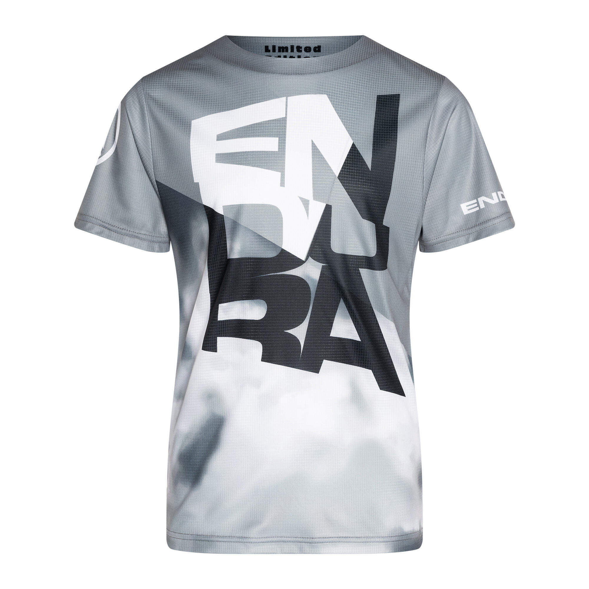ENDURA picture