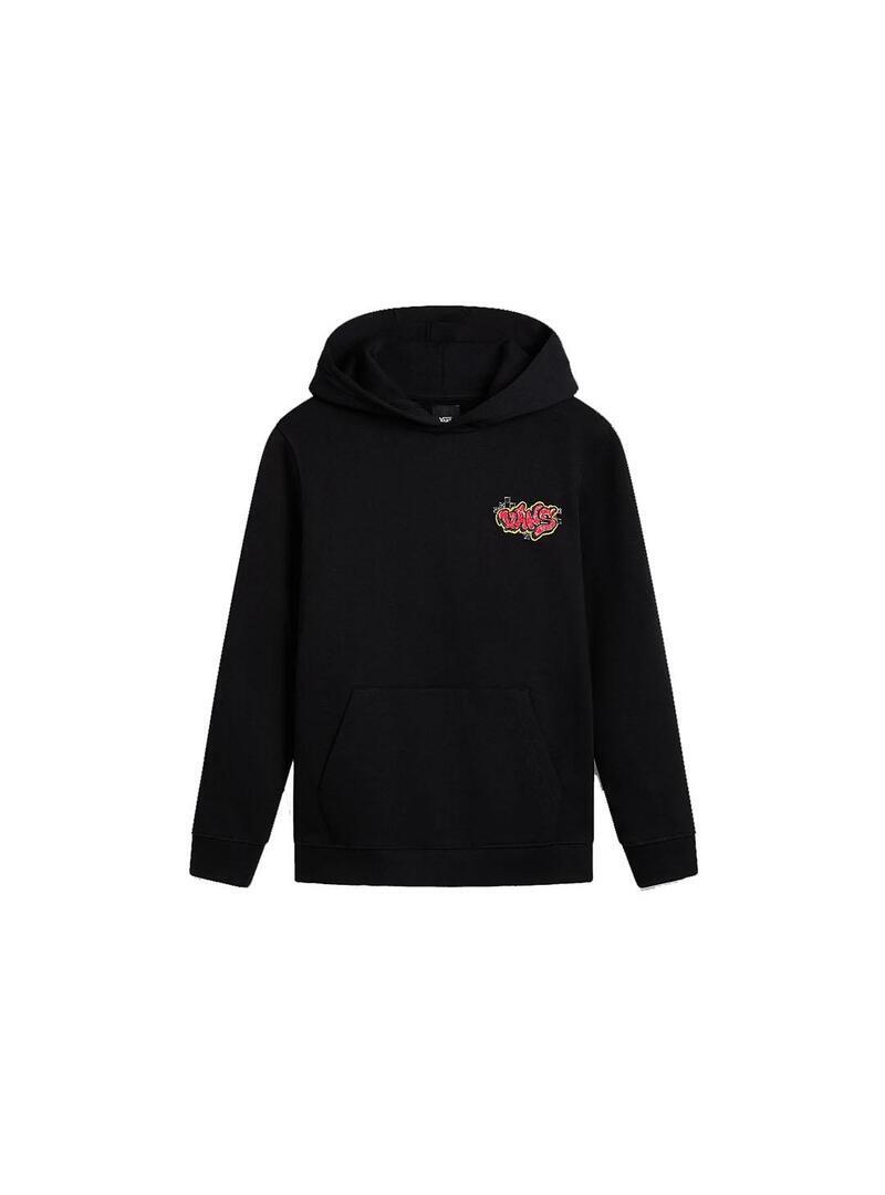 VANS picture