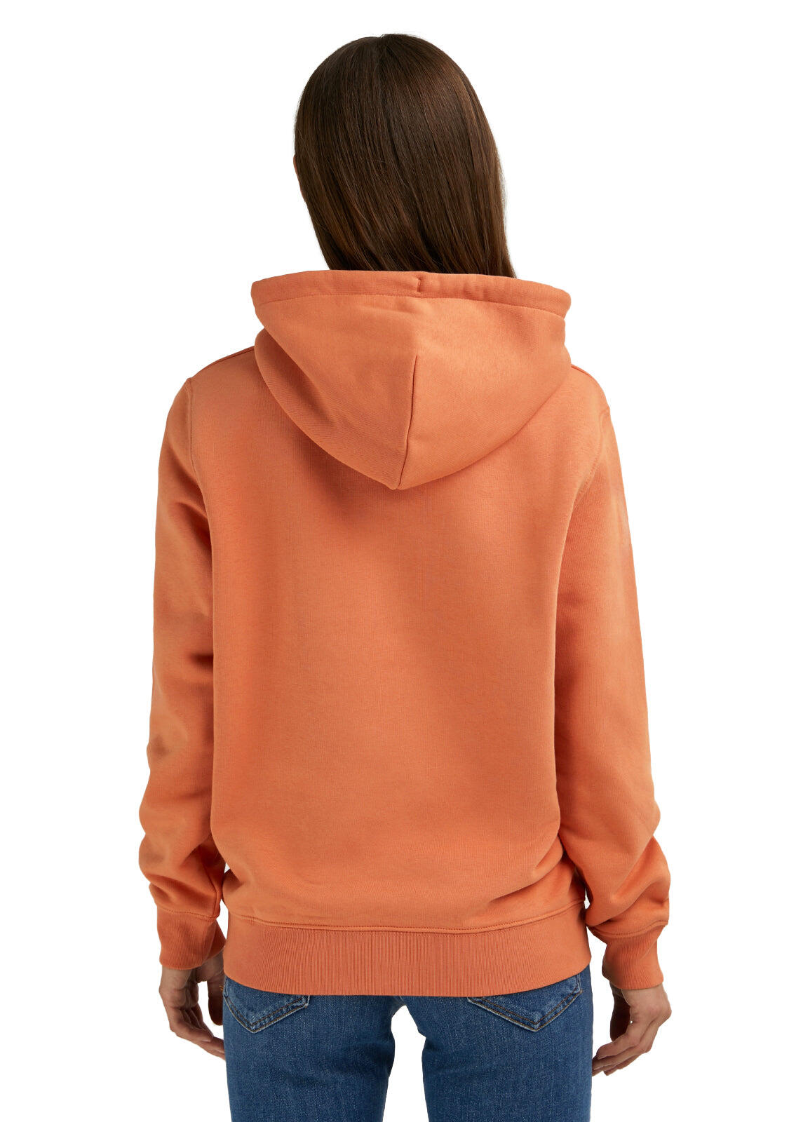 Felpa basic D. Franklin Mid Logo Hoodie Volcano 2/4
