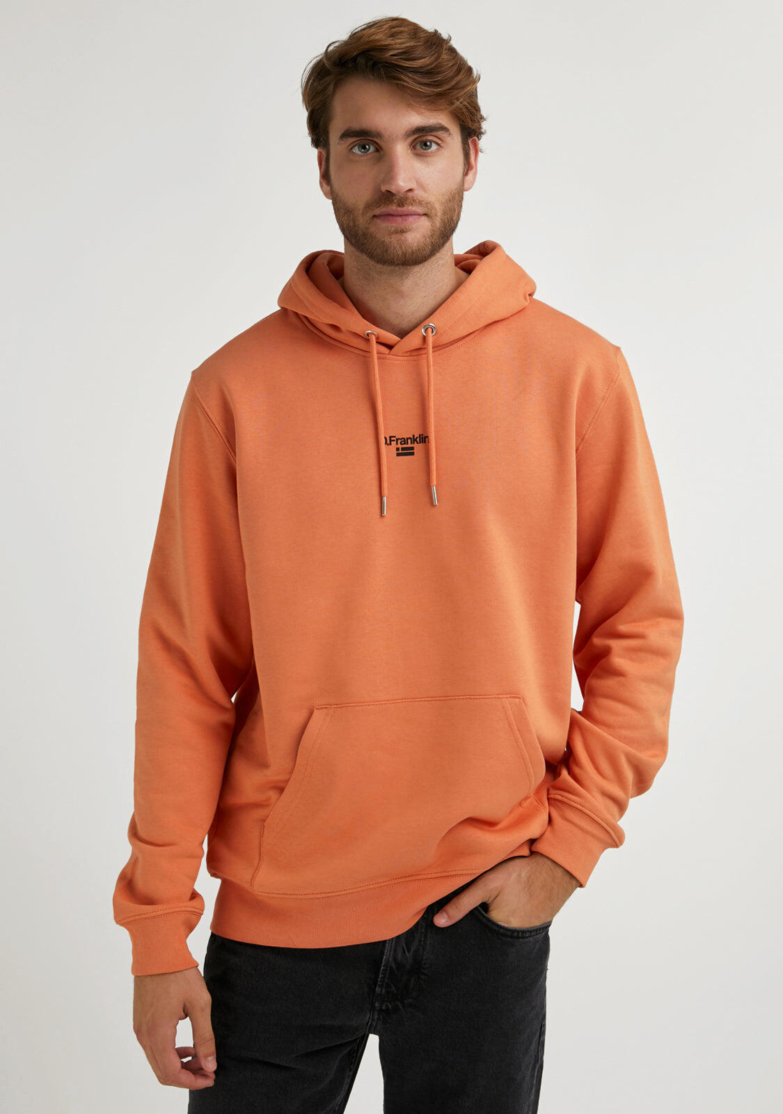 Felpa basic D. Franklin Mid Logo Hoodie Volcano 3/4