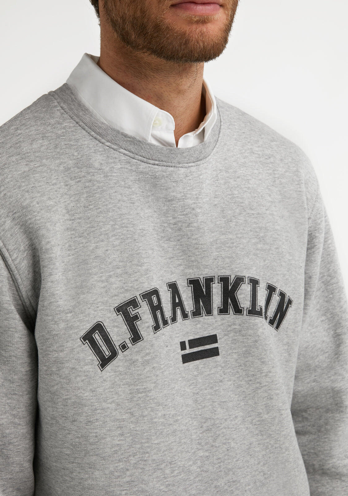 Felpa basic D. Franklin Varsity Sweatshirt 3/5