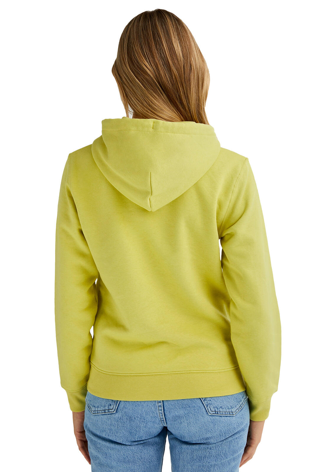 Felpa basic D. Franklin Mid Logo Hoodie Linded 2/3