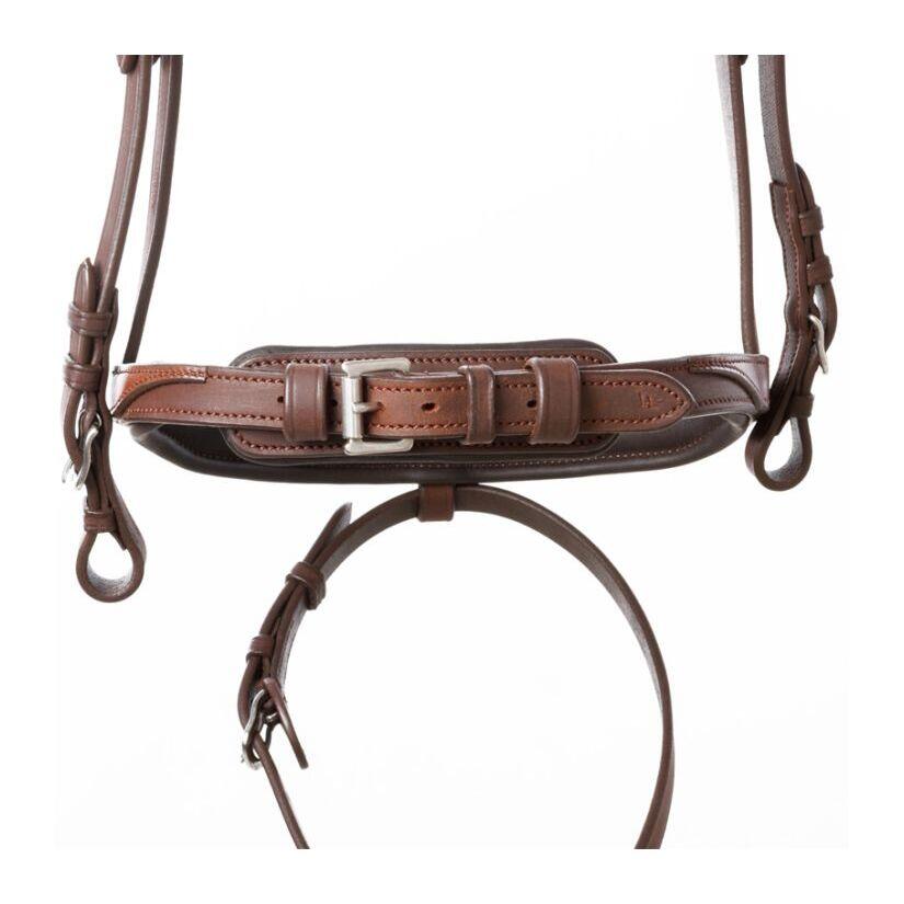 Bridas de equitación Kavalkade Everness 3/6