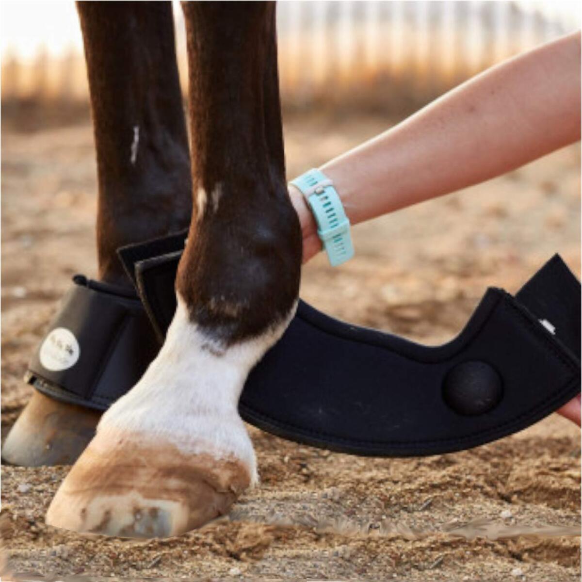 Cloches pour cheval Kavalkade KavalPren 4/5