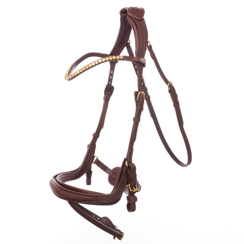 Riding bridle Kavalkade Caliano English Nb. With Flash