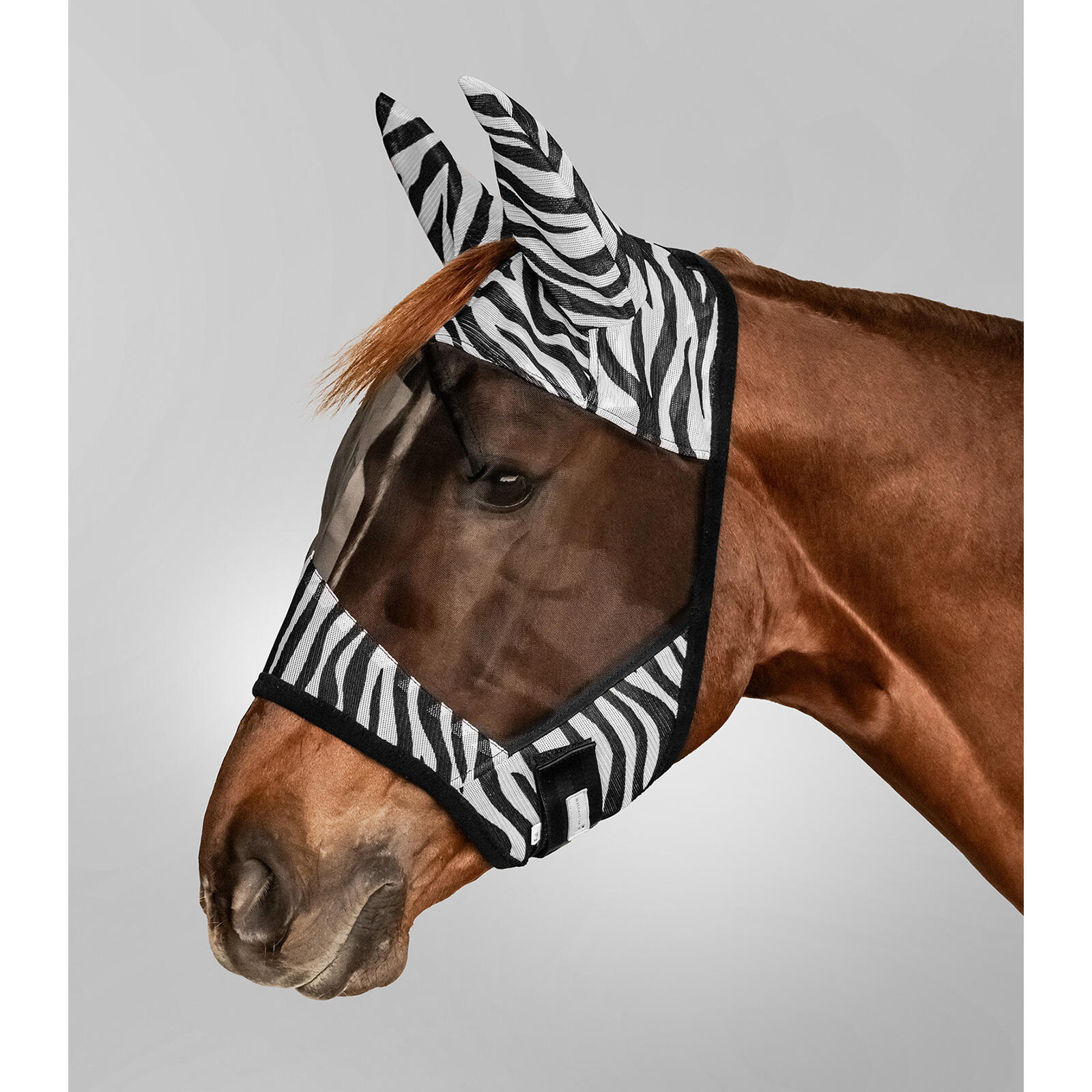 WALDHAUSEN Maschera anti-insetti per pony Waldhausen Zebra