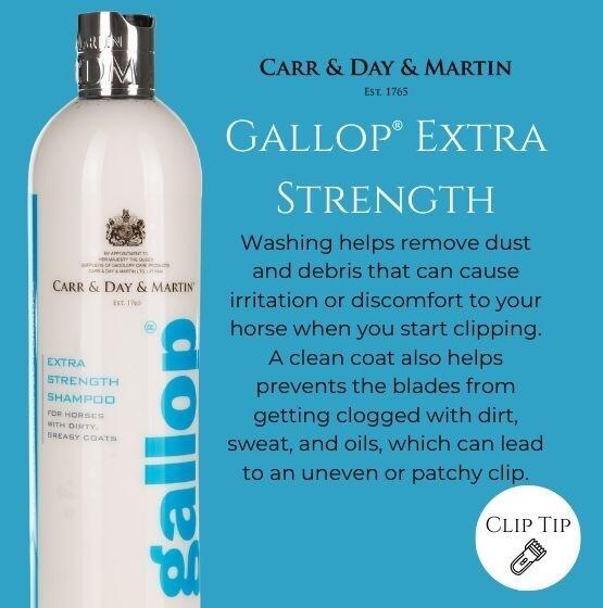 Carr & Day & Martin Shampooing extra fort Gallop - 500 ml 2/3