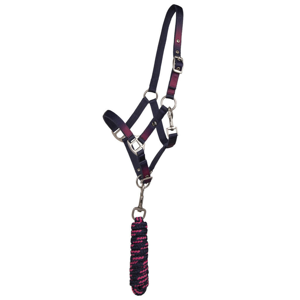 Horse bridle and lunge line duo QHP Jaily