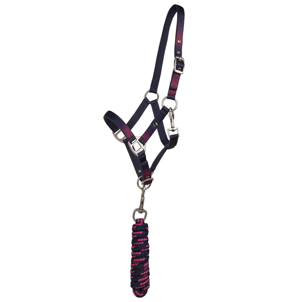 QHP Duo halster en longe voor paard QHP Jaily