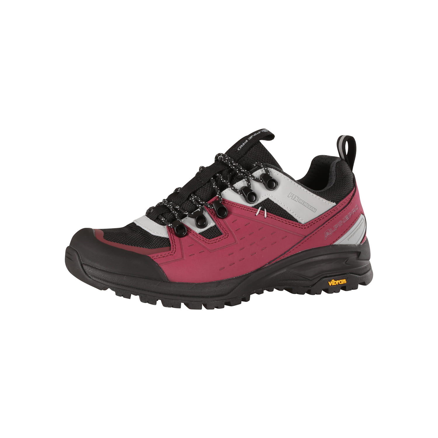 ALPINE PRO picture