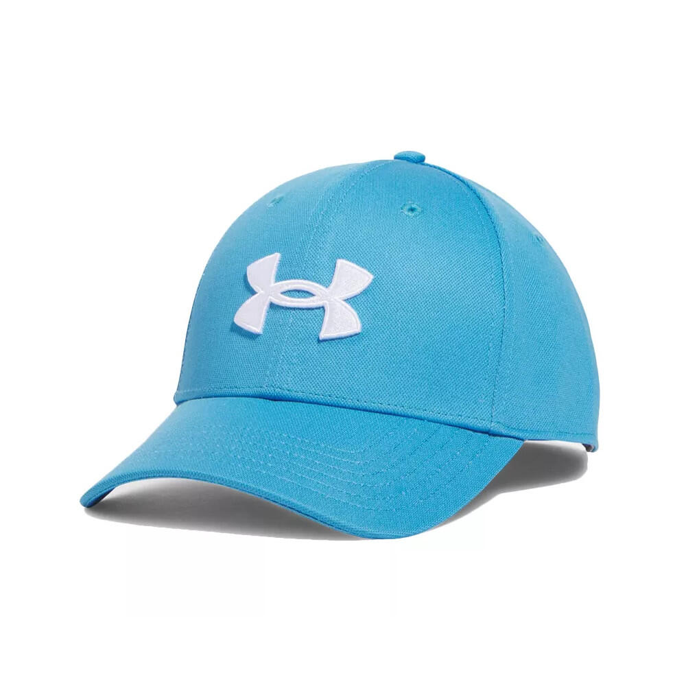 bleu / blanc