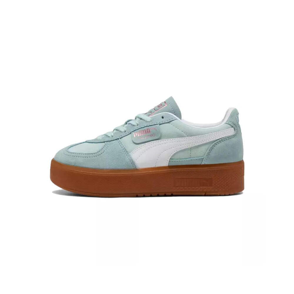 PUMA picture