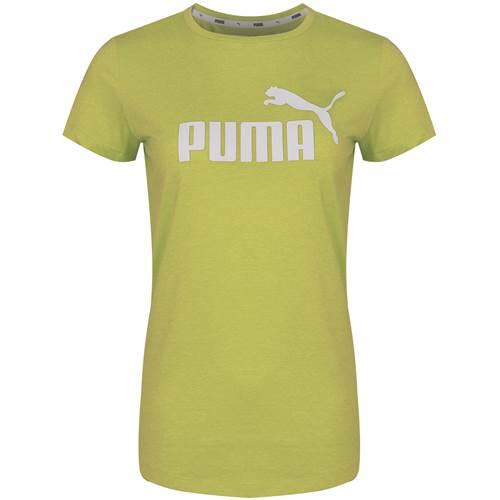 1eea5e50-416a-41a1-b608-89471befc863_c22