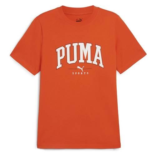 PUMA picture