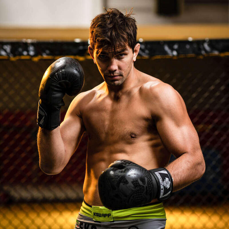 Mănuși de box DBX BUSHIDO "Black Dragon"