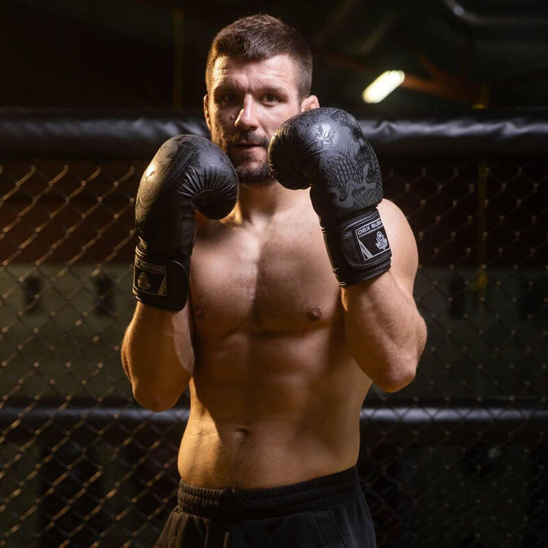 Mănuși de box DBX BUSHIDO "Black Dragon"