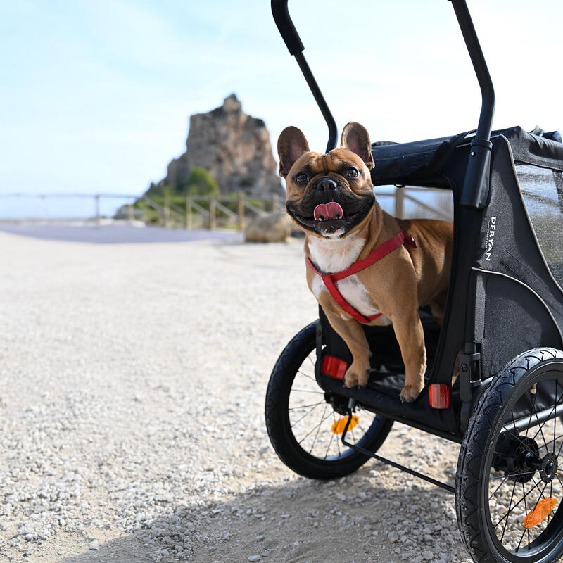 Deryan Luxe Pet Trailer - Remorque pour vélo - Remorque pour chien - Max. 20 kg