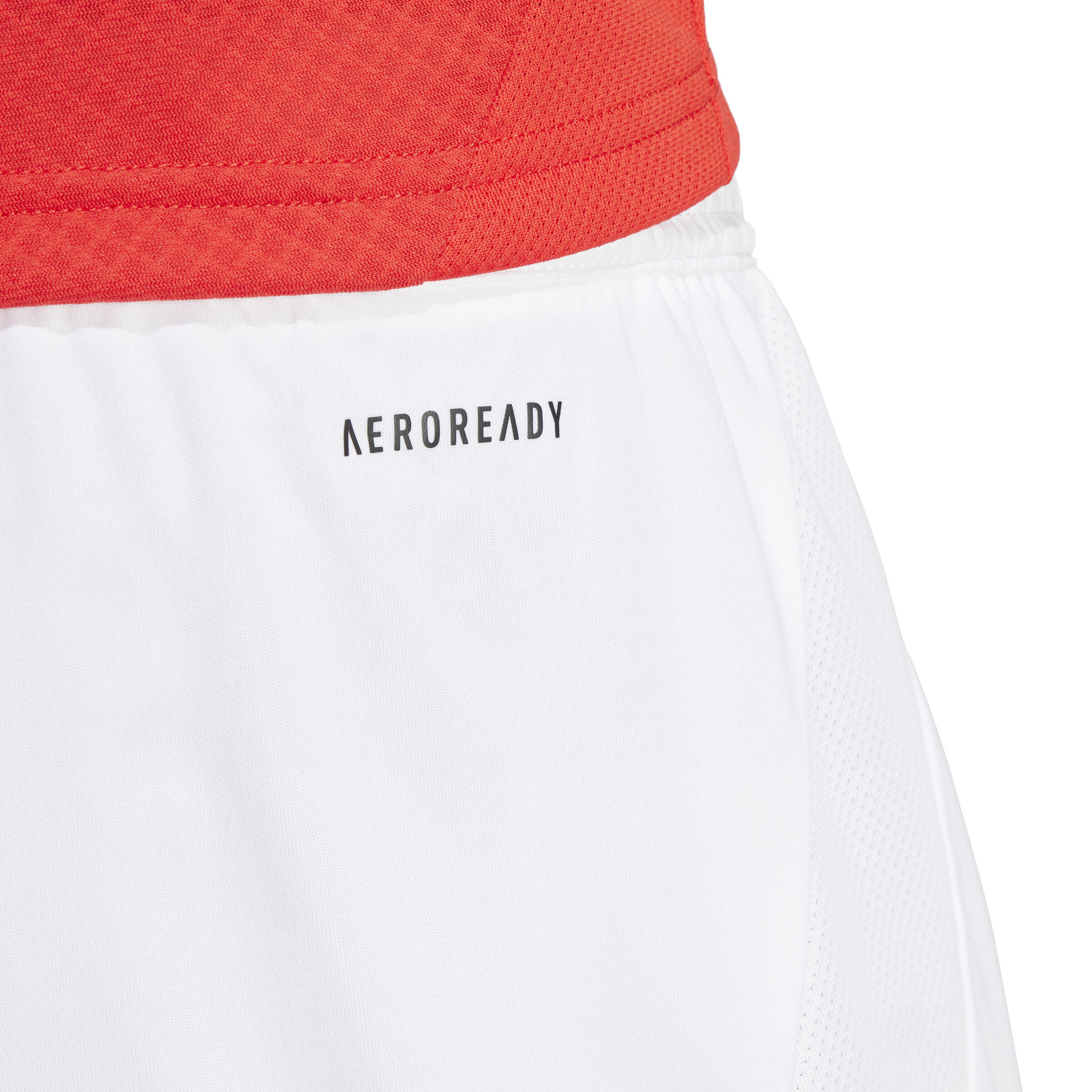 Benfica 24/25 Thuisshort 6/6