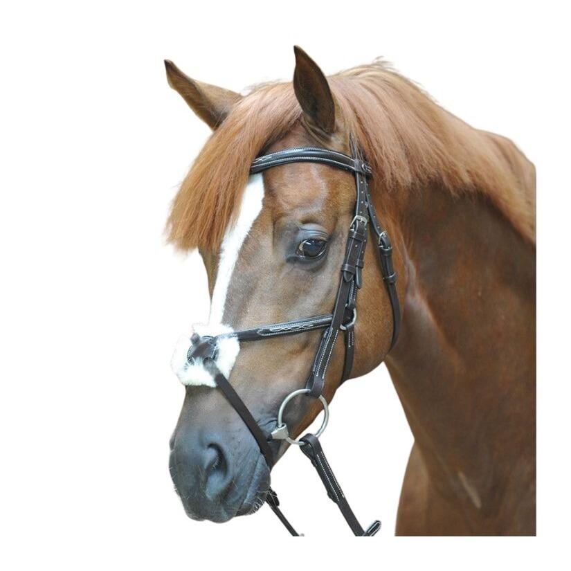 Riding bridles Kavalkade Diandro