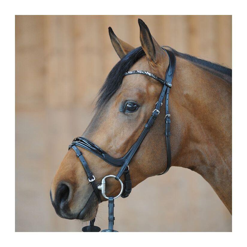 Bridas de equitación Kavalkade Ivana KavalSH4 2/3