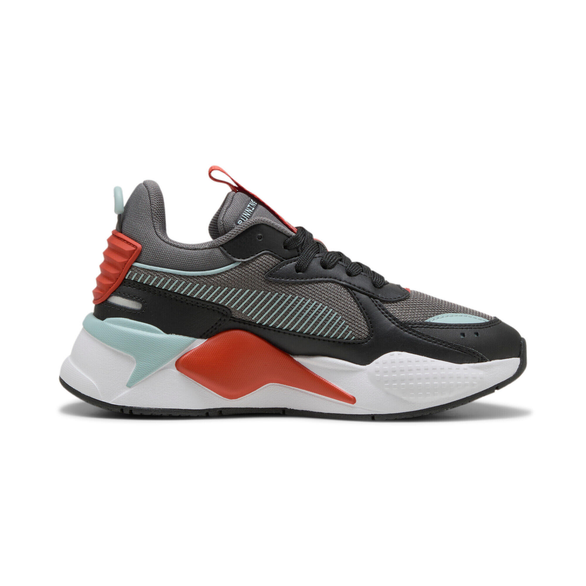 PUMA picture