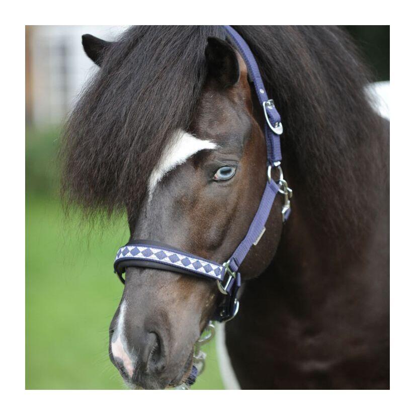 Licol pour cheval en nylon Kavalkade Iceland-Classic 2/3
