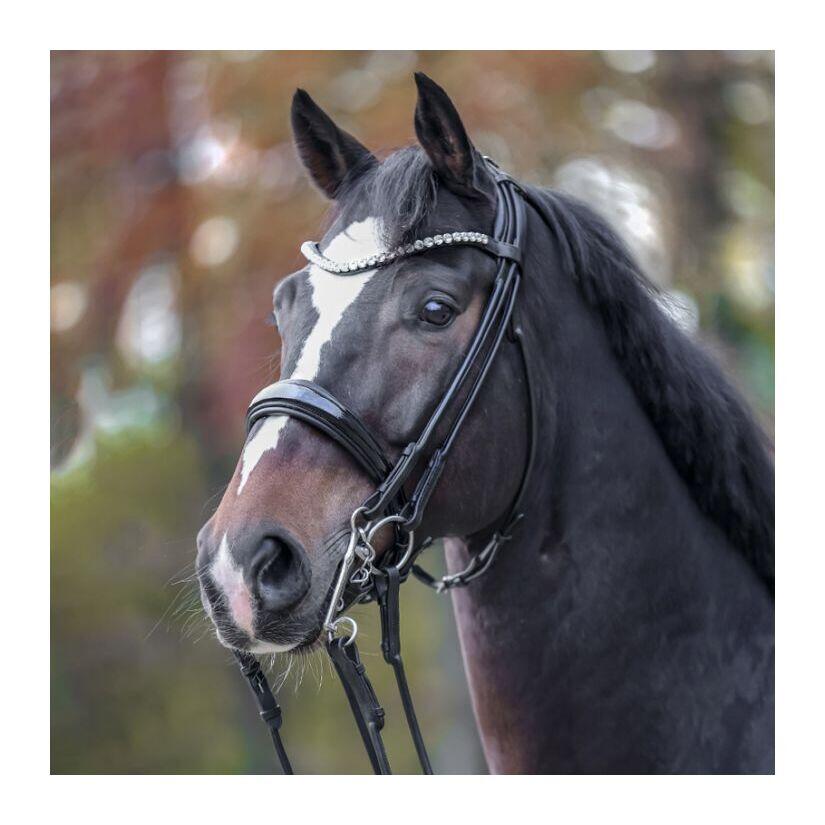 Bridas de equitación Kavalkade Weymouth - Fleur 2/6