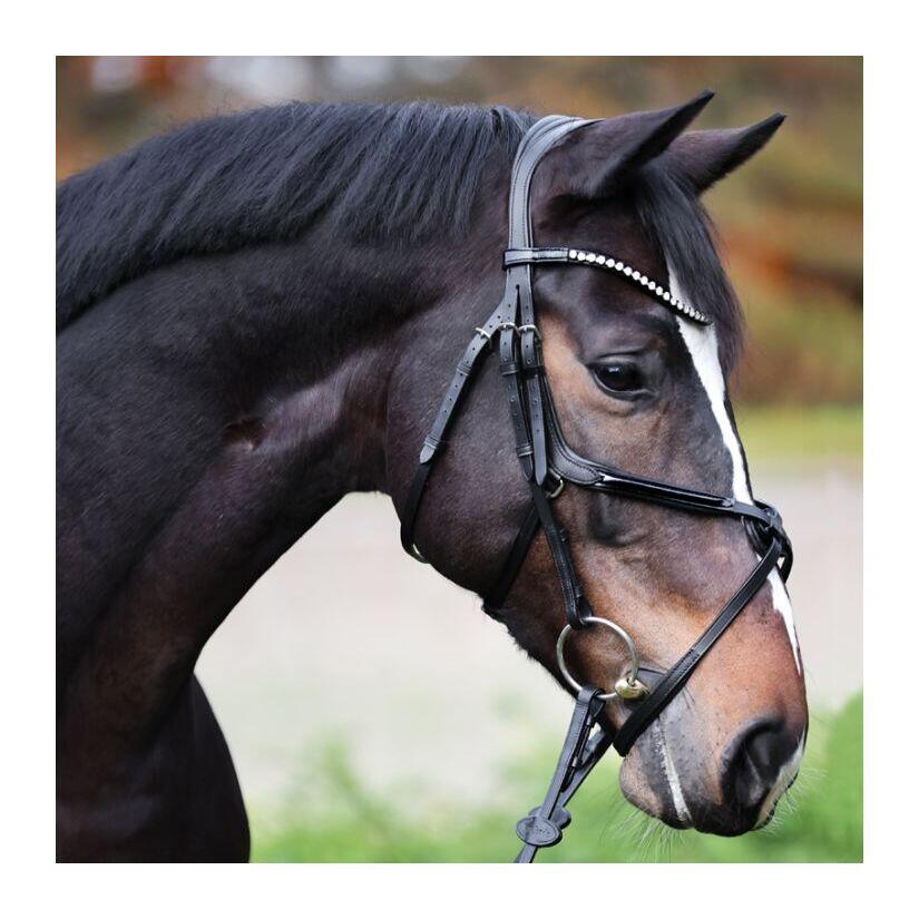 Bridas de equitación Kavalkade Lucia 2/5