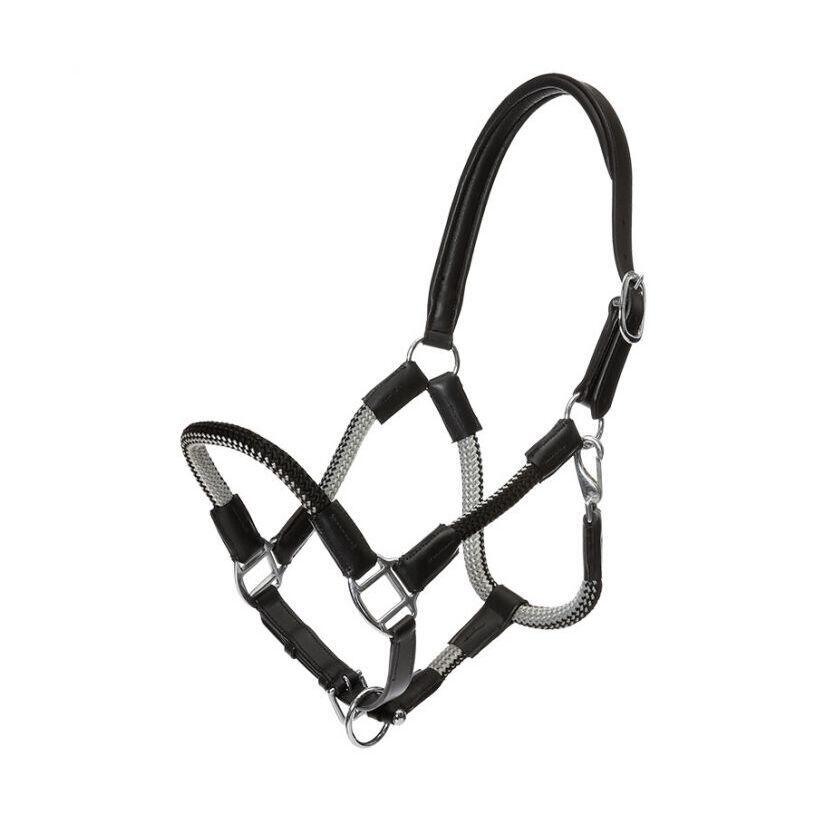 Halter for horse in reins Kavalkade Cavo