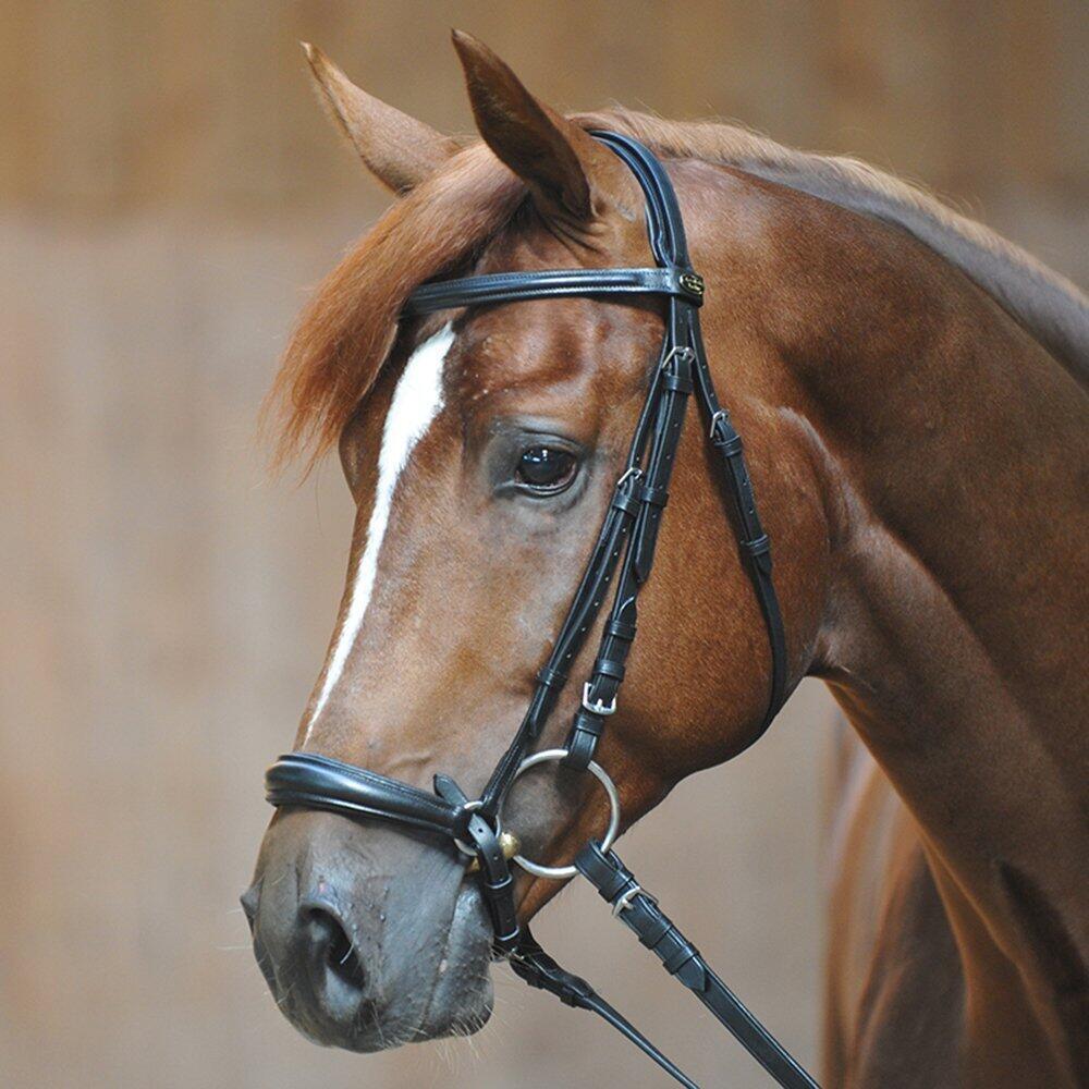 Bridas de equitación Kavalkade Lina 2/4