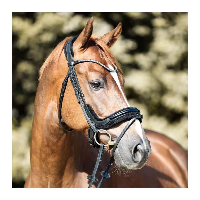 Bridas de equitación Kavalkade Ivella KavalSH4 2/2