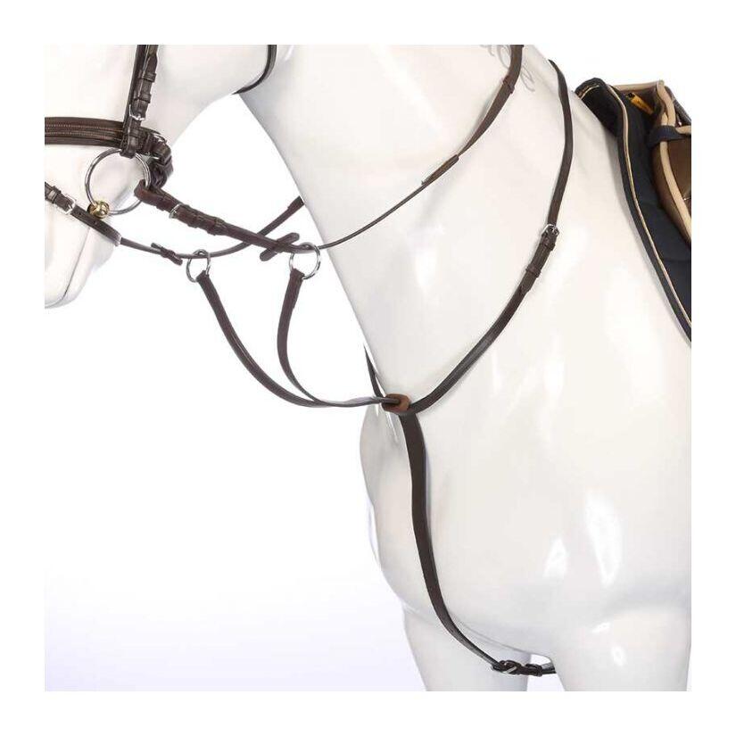 Martingale with rings and plugs Kavalkade Ecoline