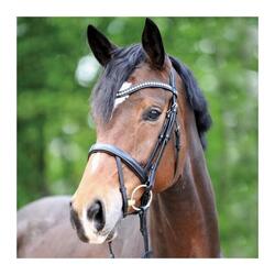 Bridons équitation Kavalkade Diana KavalSH4