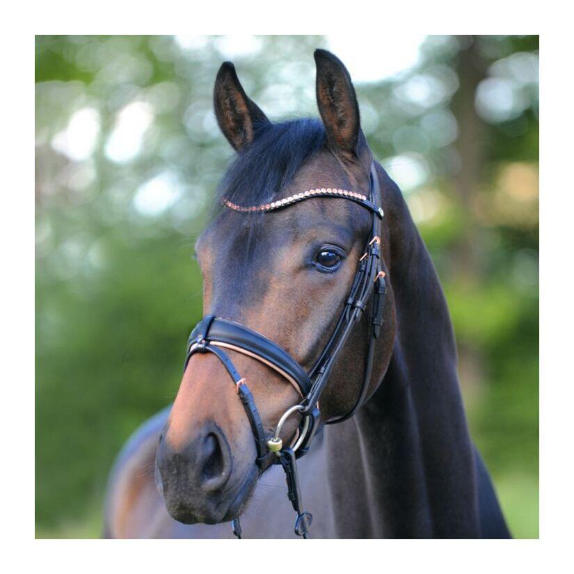 Bridas de equitación Kavalkade Rose 2/3