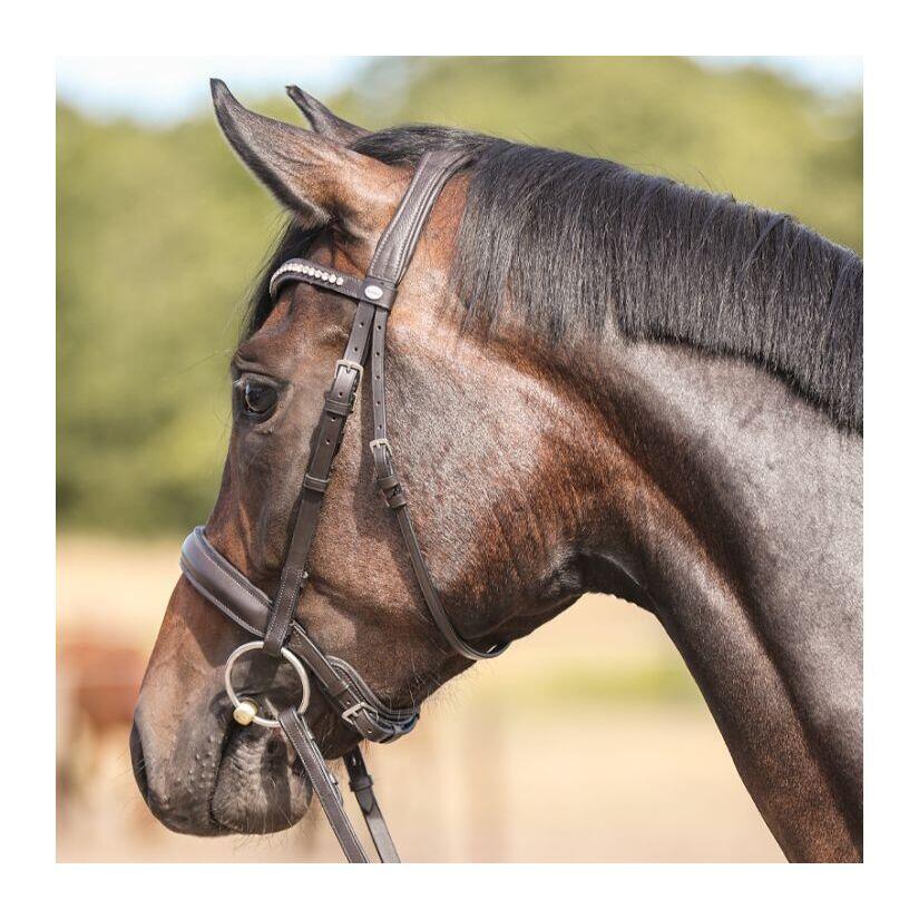 Bridas de equitación Kavalkade Diana KavalSH7 7/7