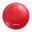 SWISS BALL | BALLON DE GYM | DIAM 65 CM | COLORIS AU CHOIX